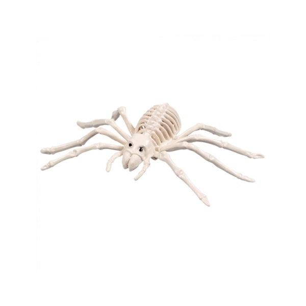 Skelet Edderkop 35 Cm