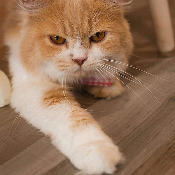 Kæledyr Hund Kat Sofa Pad Tape Hjem Møbler Film Beskytter Klistermærke L