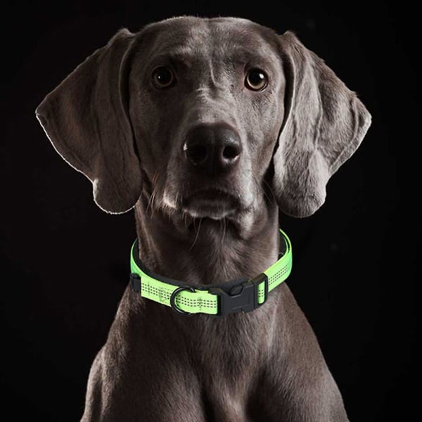 Reflekterende hundehalsbånd: Fyld og reflekterende farve/syning til at lave dette halsbånd