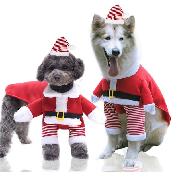 Julehundekostume Hunde Kat Julemand Kæledyrskostume