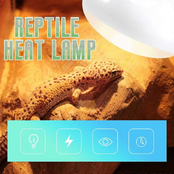2 kpl matelijoiden UVB UVA lämpölamppu (100 W) UVA lämpölamppu