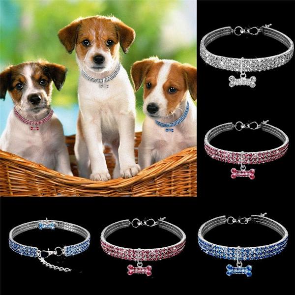 Dog collars and on sale accessories