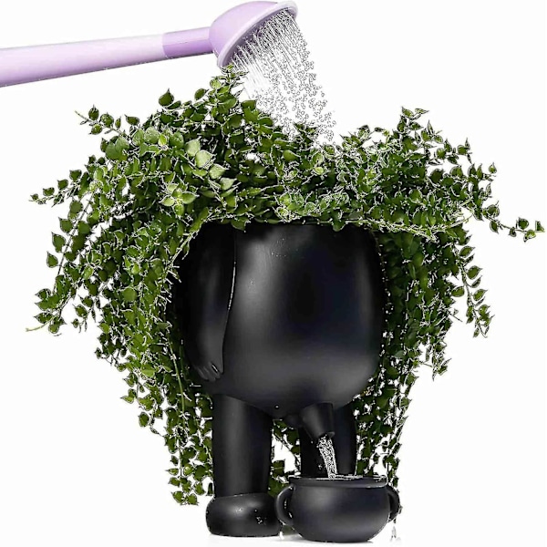 Tissepotteplanter, tissepotte til planter, tissepotte, morsom vase til hjemmet black