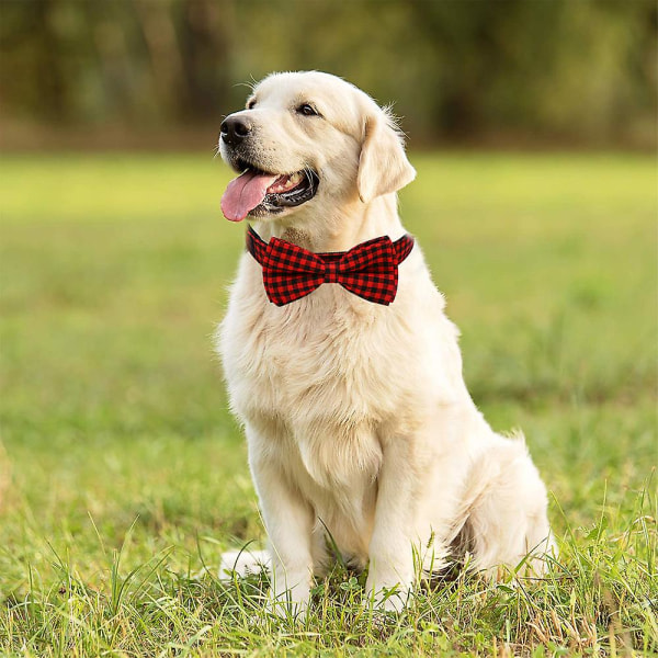 Koiran solmio, Haopinsh koiran kaulapanta Koiran ruudullinen solmio solmio Valo säädettävä koiran kaulapanta
