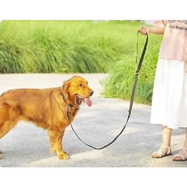 Nylon Training Dog Leash For Small Medium Large Dogs, 10ft 15ft 20ft 30ft Long Leash Dog/puppy Lead For Obedience Recall Training, Camping