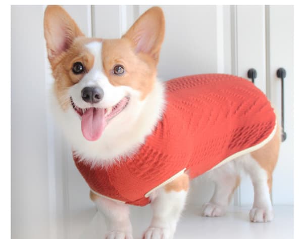 Vintervarm Anti-Hårlossning Turtleneck Hundtröja
