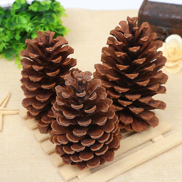 12 kpl luonnollisia männynkäpyjä irtotavarana, jouluiset pinecones-koristeet askarteluun, joulukuusi, syksyn kiitospäivän kodin sisustus