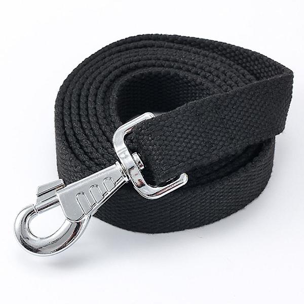 Dog collars cheap and leashes