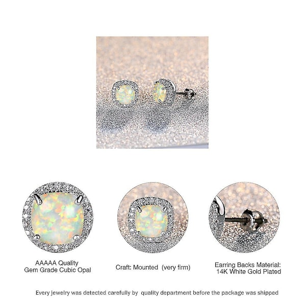 Hvidguldbelagte Kreerede Sorte Diamant Ørestik Xq-ps726