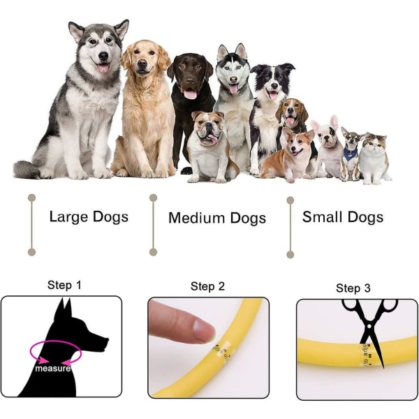 Led lyshalsbånd til hunde, usb genopladeligt - justerbar længde kæledyrssikkerhedshalsbånd til hunde og katte