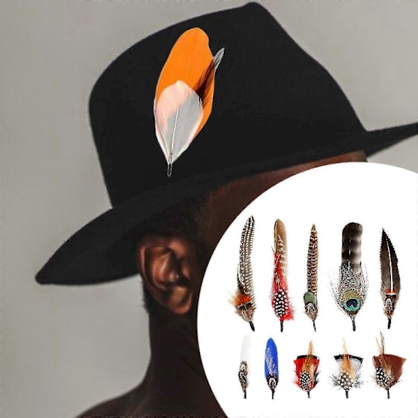 Hattfjädrar Blandade Fjädrar Mode Cowboyhatt Fjäder Hantverksfjädrar för Fedora Dekor DIY Centerpieces Hantverkstillbehör Style A