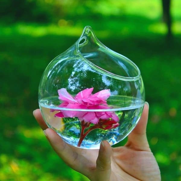 Hängande glaskulvas eller terrariumlandskap transparent