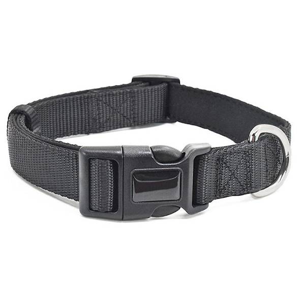 Basic sale dog collar