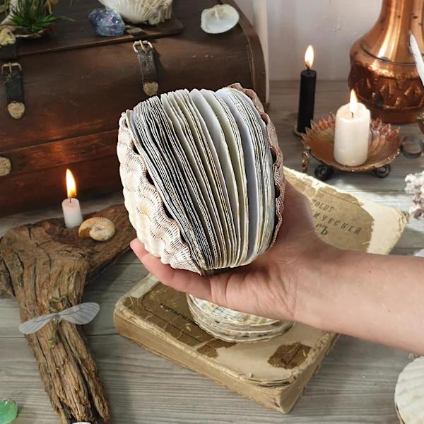 Abalone Shell/Lions Paw Shell/Scallop Shell Journal, Unik Premium Hardcover Ocean Series Sticky Note Pad, Naturlige Skaller Teksturer Kreativ Sketchboo C