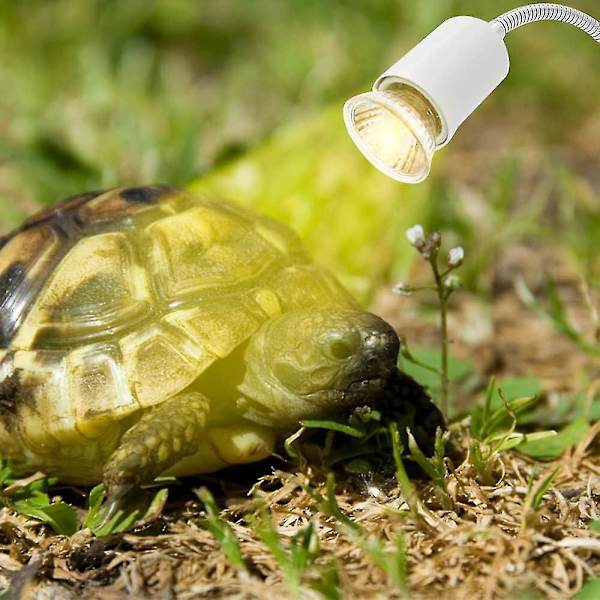 Varmelampe, Skildpaddevarmepære Varmeemitterende Lampe, 3 Uva Uvb Pærer 25w, 50w Og 75w, Og Vandtank Temperaturtester