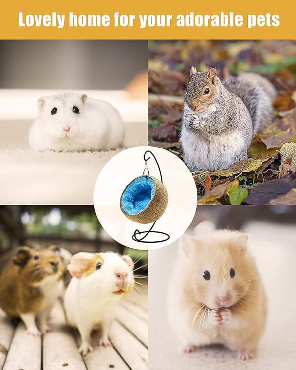 Burstall seng, hamstergjemmested, burstalltilbehør, burstallleker, stor kokosnøttskall hamster seng hus med varm pute gjemmested for kanin