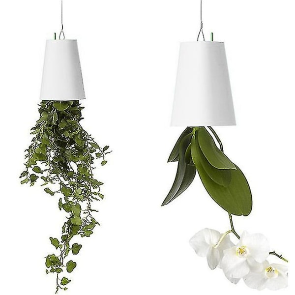 Omvänd upphängd blomkruka för växter