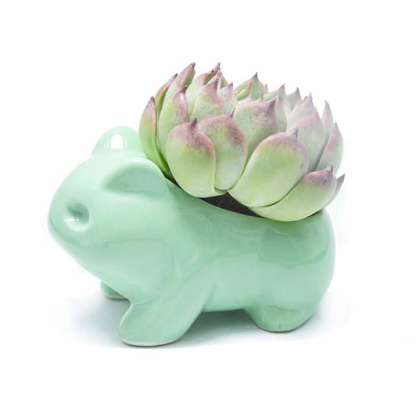Blomsterpotter - YYV - Sød - Keramik - Grøn - 13x7x8 cm