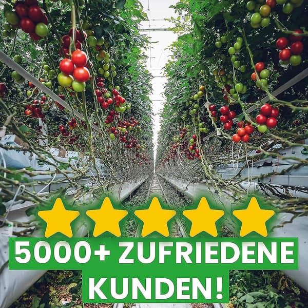 50x Drivhuseklips - Planteunderstøtninger Drivhuse Ophængere, Perfekte Grommets Spænder til dit Paradis.