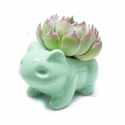 Blomsterpotter - YYV - Søt - Keramikk - Grønn - 13x7x8 cm