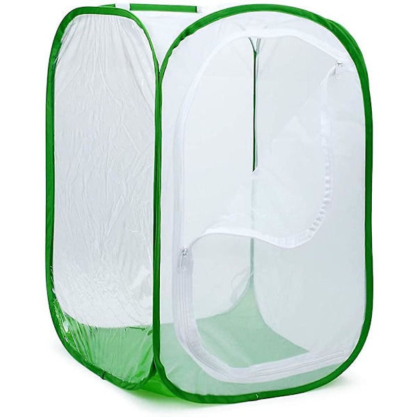 Stor hopfällbar fjärilshabitatbur Terrarium, insekts- och fjärilsnät för avelsinlägg