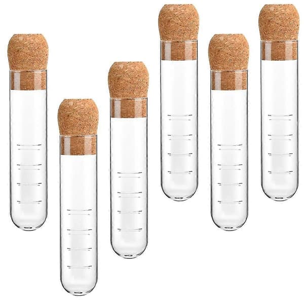 6 st Glas Teinfuser, Glas Sil, Korklock, Återanvändbar Glasdiffuser För Te, Klar Te S