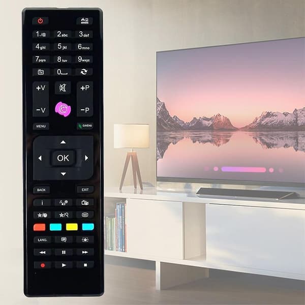 Fjärrkontroll RC-4875 för Techwood TV Telefunken Finlux Shar Television