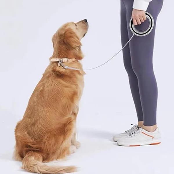 Koppel - Infällbart hundkoppel - Automatisk svängkrok - Starkt koppel - 2,5 meter - Handsfree & 360° trasselfritt - Broms