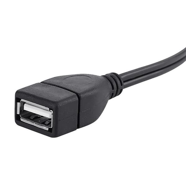 1,5 m USB A Hunn Socket til 2 RCA Hann Plugg Audio Video Forlengelseskabel