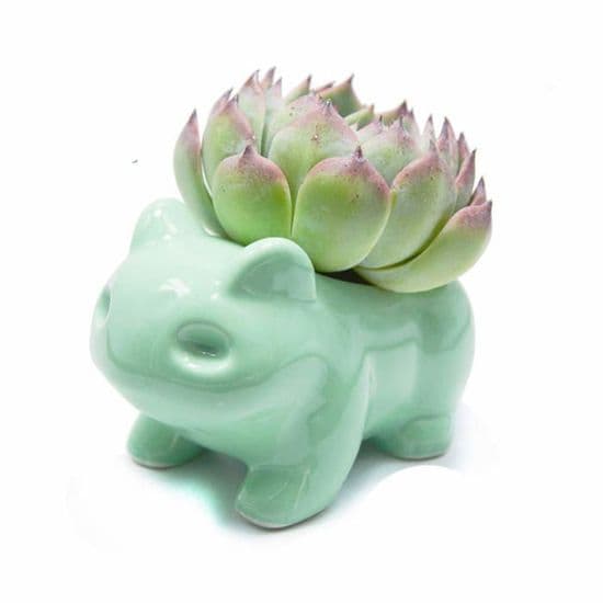 Blomsterpotter - YYV - Sød - Keramik - Grøn - 13x7x8 cm