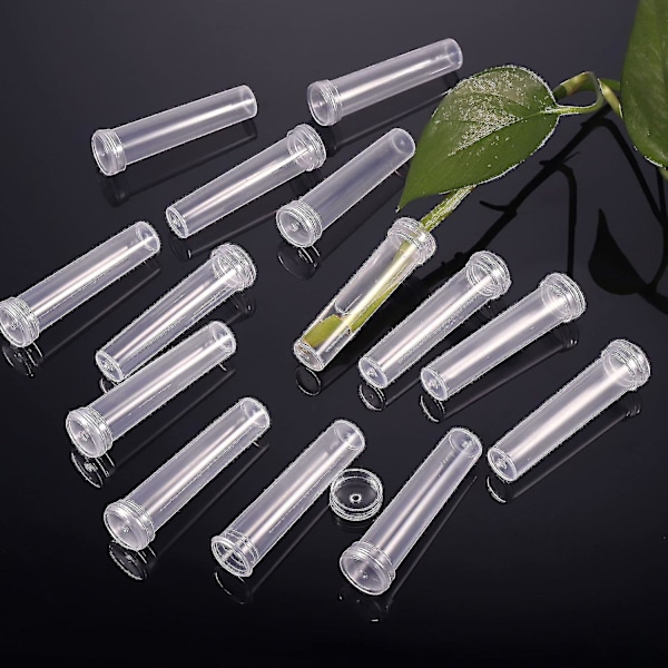 Paket med 100 Blomrör, Blomvattenrör med Lock, Återanvändbara och Hållbara Provrör för Blommor, 7 cm, Transparent