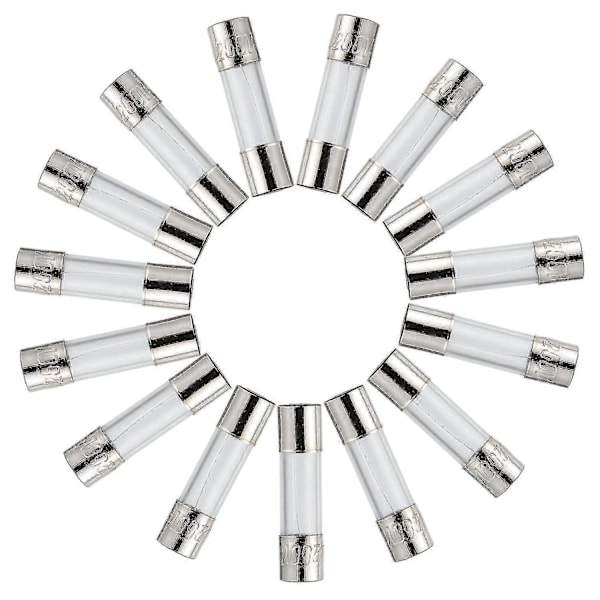 T3.15AL250V 5x20mm 3.15A 250V Langsom Blæsning Sikringer 3.15 Amp 250 Volt 0,2 x 0,78 Tommer Glasrør (Pakke med 20 stk)