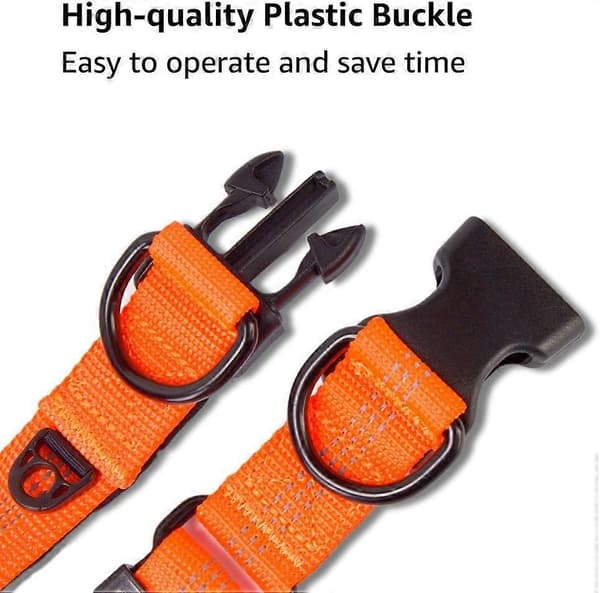 Justerbart hundhalsband, reflekterande nylonneopren med Acsergery separat ID-ring och dubbel D-ring, present