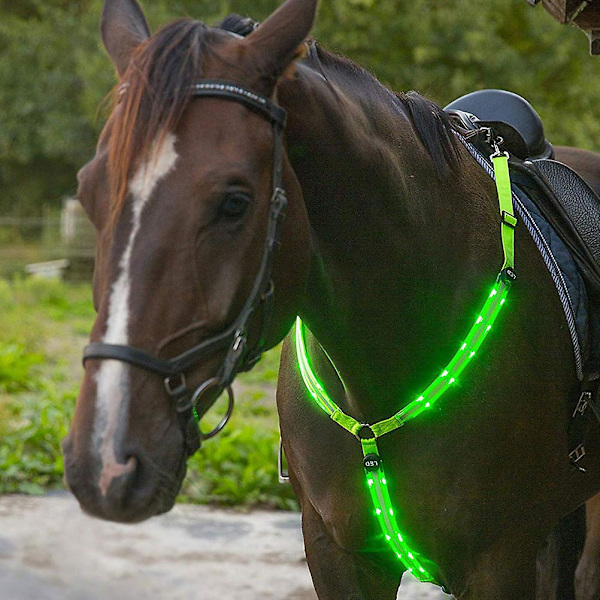LED Høj Synlighed Heste Brystplade Halsbånd Justerbar Sikkerhedsudstyr til Ridning