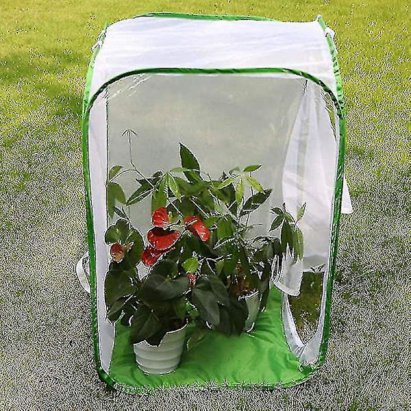 Stor hopfällbar fjärilshabitatbur Terrarium, insekts- och fjärilsnät för avelsinlägg