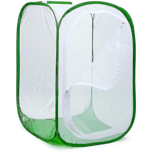Stor hopfällbar fjärilshabitatbur Terrarium, insekts- och fjärilsnät för avelsinlägg