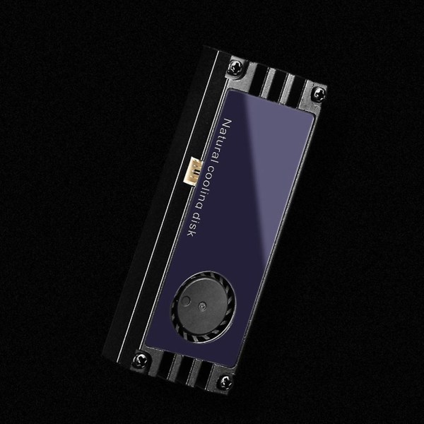 2 stk M2 SSD Varmekjøler Varmekjøler Temperatur Oled Digital Display M.2 2280 Nvme SSD Solid State Drive Varmekjøler (Svart)