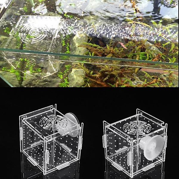 Fiskeyngelboks Akvarium Liten Inkubator Med Sugkopp For Nyfødte Reker
