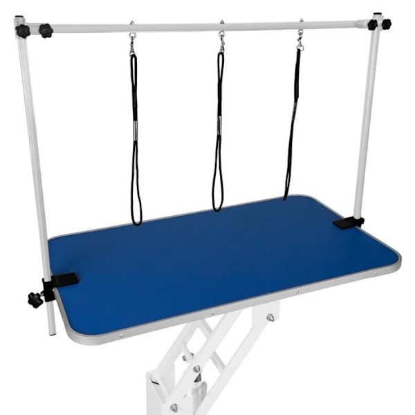Bord för toalettfarande - Stålram - Halkskydd Blå - Justerbar 55,5-101,5 cm - 180 kg Vit blå