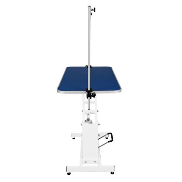 Bord för toalettfarande - Stålram - Halkskydd Blå - Justerbar 55,5-101,5 cm - 180 kg Vit blå