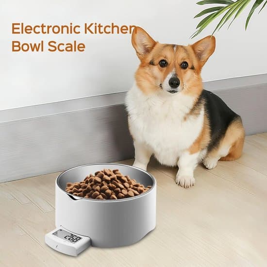 Kattefoderautomat - Hundefoderautomat - Digital fodervægt til hunde og katte - 5 kg / 1 g nøjagtighed - Hvid - 1 stk.