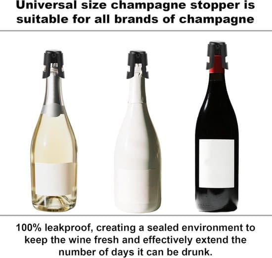 Champagneflaskeprop Sæt – Rustfrit Stål og Silikone – Genanvendelige propper til mousserende vin