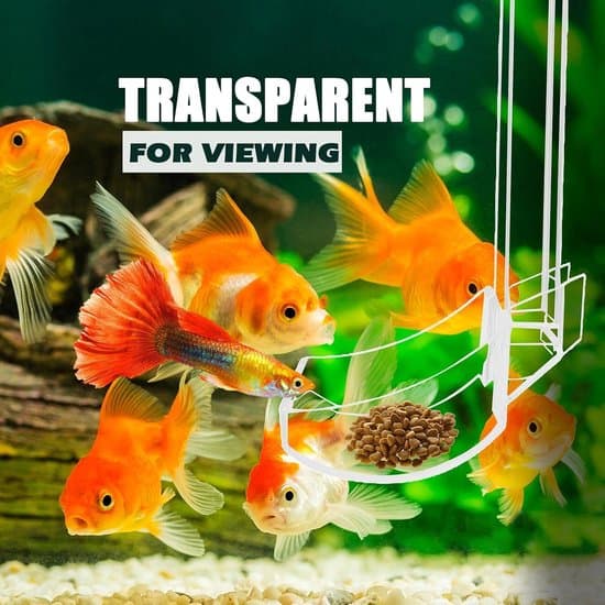 Akvariefoderrör 21 cm - Akvarietillbehör - Akvariefoderrör med sugkoppar och upphängningskrokar - Lämplig för fiskfoder och räkfoder
