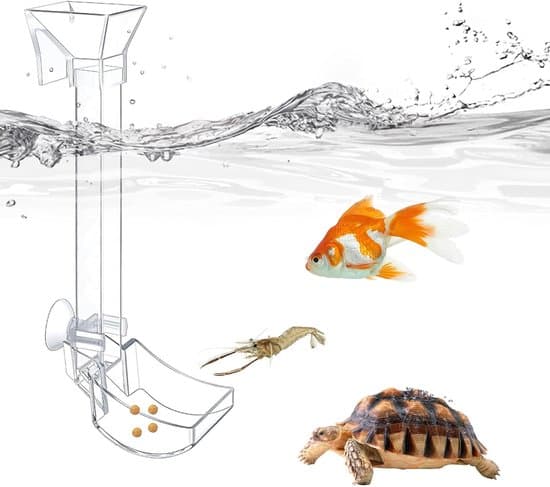 Akvariefoderrør 21 cm - Akvarietilbehør - Akvariefoderrør med sugekopper og ophængskroge - Velegnet til fiskefoder og rejefodring