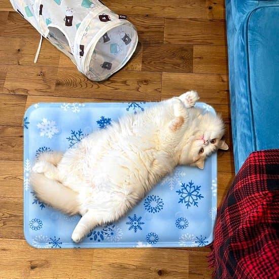 Kølemåtte til hunde – Kølemåtte til katte – Kølemåtte til kæledyr – Kølemåtte 40 x 50 cm