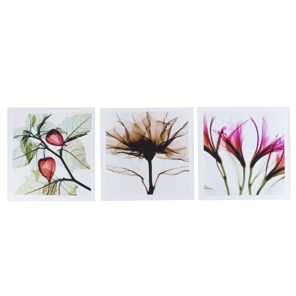 3st Blommor Väggmålning Ramlösa dekorativa målningar