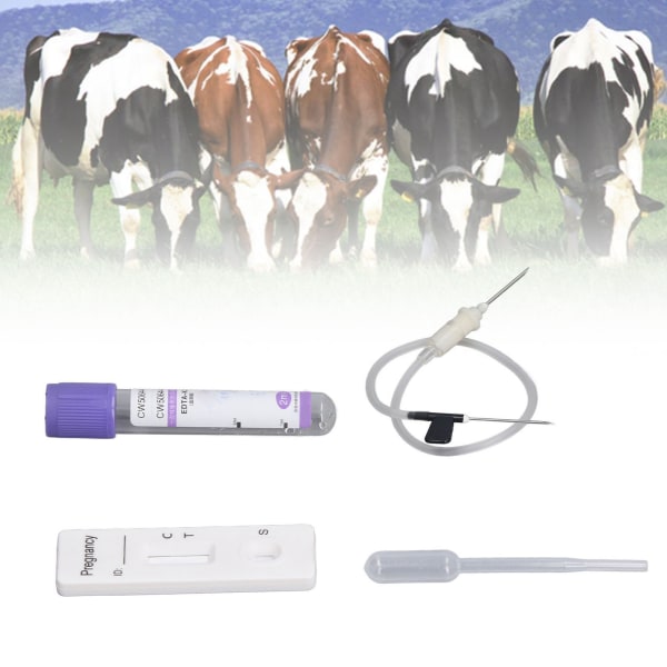 Bovina Cow Rapid Graviditetstest Kit för tidig dräktighet Graviditetstestkort för mjölkkoboskap