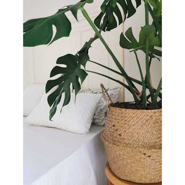 Elegant Växtkorg för Förvaring i Hemmet, Naturlig Sjögräs Boho-inspirerad Vikbar Förvaringskorg för Mångsidig Användning
