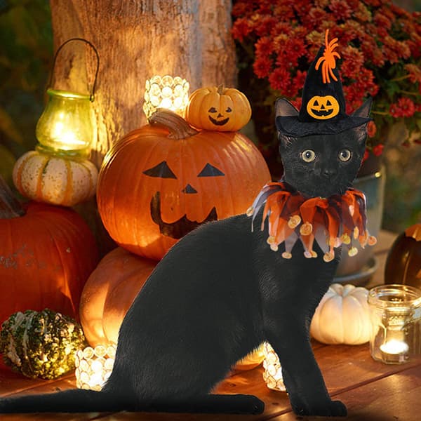 Set med 2 Halloween Hatt Haklapp Set Halloween Cape Hatt Set Dekorationer