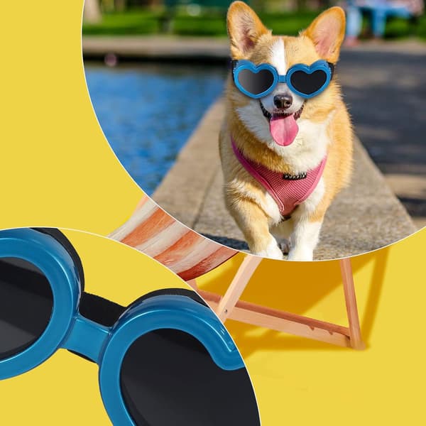 1 set blå hundglasögon vindtäta, justerbara hög elastiska